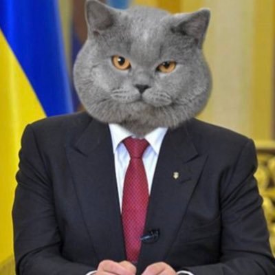 Моя релігія: котократія 😼 за котів в парламенті, Нацполіції, СБУ, Генштабі, уряді. Вірю в ЗСУ! Україна переможе!