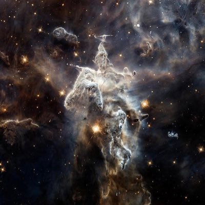 whitebon10's profile picture. 28/04/1996❤️