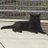 neomelocats22
