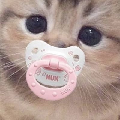 agere || sfw || bby age 4-9 || big age 17 || read pined before you follow