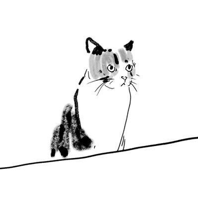 zzさんのプロフィール画像