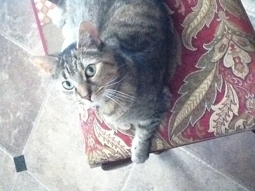 PattiKhall's profile picture. 