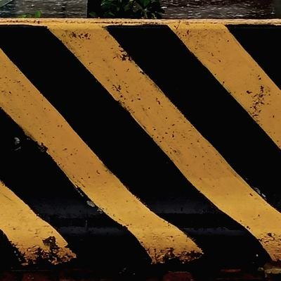 FFFaFall's profile picture. 冇sb