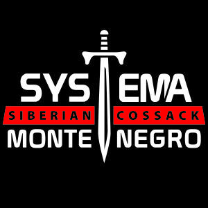 Systema_MNE's profile picture. 