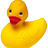 KumiAnkka1's profile image