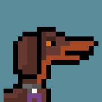doxie (@dachsie0x) 's Twitter Profile Photo