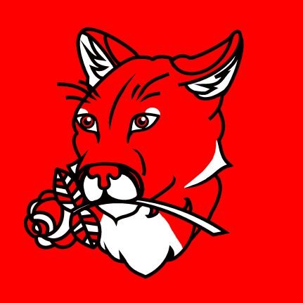 Central Vermont DSA Profile