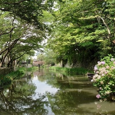 イトー 無季さんのプロフィール画像