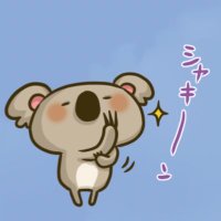 コアラのクヌートさん(@koala_cnut) 's Twitter Profile Photo