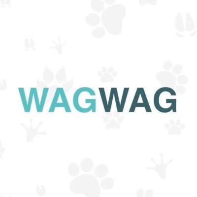 We are WagWag, a non-profit organization whose primary outcome is to educate, raise awareness, and motivate people to get involved in rescuing stray animals.