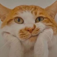 МауМиу (@maumiu7) 's Twitter Profile Photo МауМиу (@maumiu7) 's Twitter Profile Photo