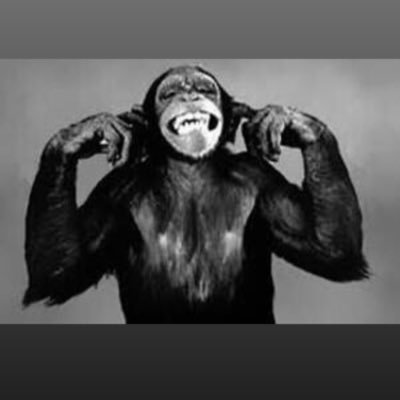 rodgerfederon's profile picture. 