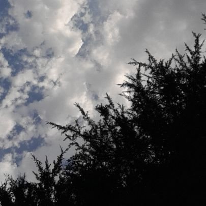 ryan_lewis___'s profile picture. 