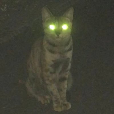 cguc1070's profile picture. tdj65th浅瀬ちゃぷちゃぷ