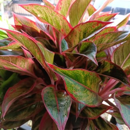 ButirEmbunPagii's profile picture. Infaq :
https://t.co/V2HulMaDMj…

YouTube : https://t.co/flX4z9Mn1Z…
instagram : @butirembunpagi
TikTok : @butirembunpagi