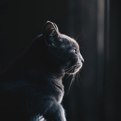 ahamed_twt's profile picture. 