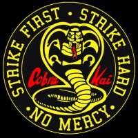 xXCobraKai94Xx (@cobrakai940) 's Twitter Profile Photo