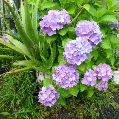 kakaa30791136's profile picture. ＃自分を生きる
DMは基本見ませんので悪しからず（　＾ω＾）・・・