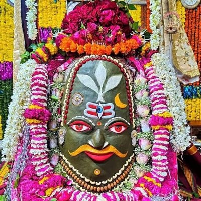 Arvinde31439932's profile picture. 