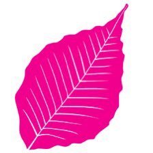 BTTC_UK's profile picture. We are an award winning independent organisation, delivering a high quality community based service to the people of Kent for over 20 years. #BTTC