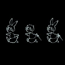 ヤグルマギクさんのプロフィール画像