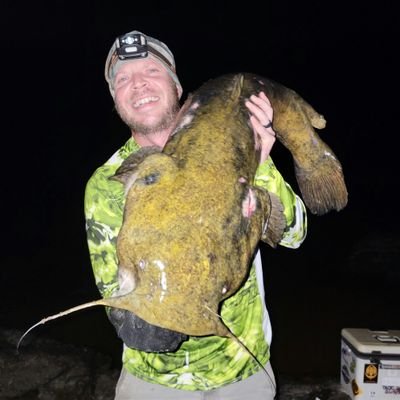 Fishing for Flatheads and the fish they like to eat. #Susquehanna #fishing #flathead #catfish