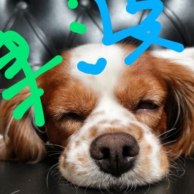 breUPTl2d45ecdm's profile picture. しゅう