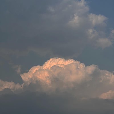 wwlh_2806's profile picture. designer / 경제공부 / 주식