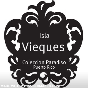 Avant Garde VQS . Artist in Vieques. All Arts in Paradise.
Isla de Vieques, Puerto Rico.