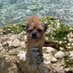Dex the BT (@borderdex) Twitter profile photo Dex the BT (@borderdex) Twitter profile photo