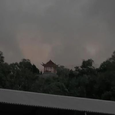 Rain_Vinn's profile picture. Programer