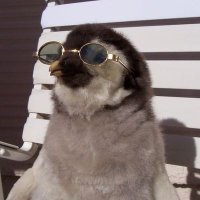 l̶a̶r̶a̶b̶a̶r̶🫧 (@systemfailure13) 's Twitter Profile