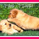 Michelle_Arthur - @Michelle_9779 - Twitter