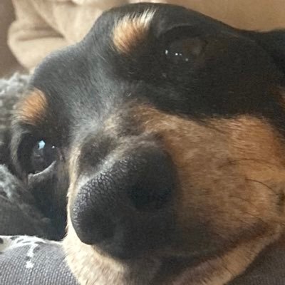 Christo01587887's profile picture. 