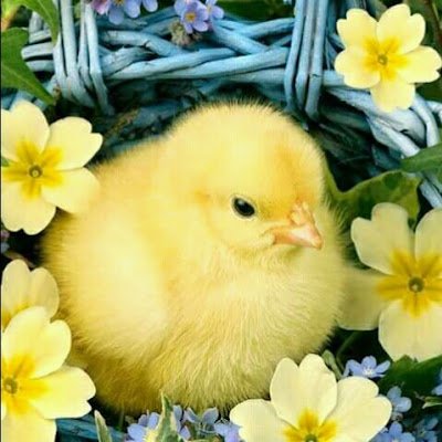 LifeEvergreen1's profile picture. #SocialQueenOfHaryana#District Youth Awardee Charkhi Dadri
#हरियाणा गौरव अवार्डी #National Youth Volunteer in NYKS