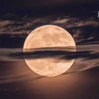 Kukkukk (@kukkukk0110) 's Twitter Profile