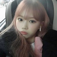 clo 💐| semi-ia (@fourieafcloverr) 's Twitter Profile