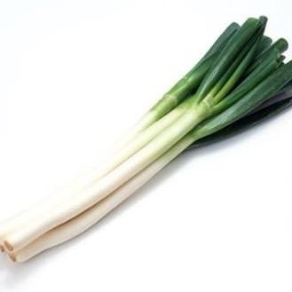 pxW45pwT9zME76o's profile picture. 20⤴︎︎︎♂｜病み期…？ 固定はどちらに…