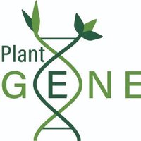 PlantGENE(@plant_gene) 's Twitter Profile Photo