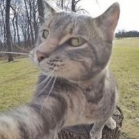 hailey (@haileydionna) 's Twitter Profile Photo