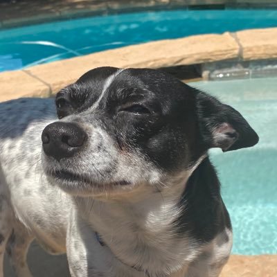 Snoopruby671's profile picture. hi I’m Snoop