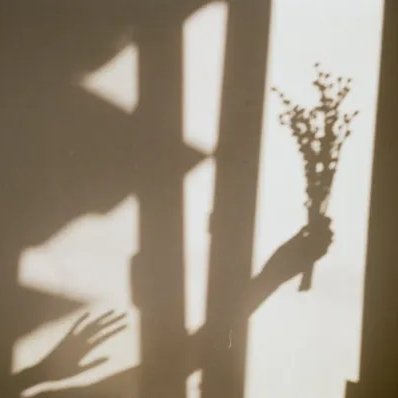 Another93689111's profile picture. Nothing to see here (for now)