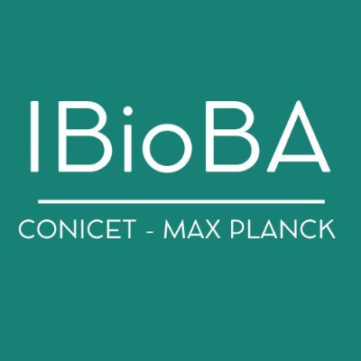IBioBA - CONICET - Instituto Partner de la Sociedad Max Planck
Hacemos investigación de frontera en el campo de las Biociencias 🔬
Links 👇🏽