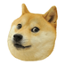 doghat donut (@DoghatDonut) Twitter profile photo