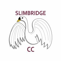 Slimbridge CC (@slimbridgecc) 's Twitter Profile