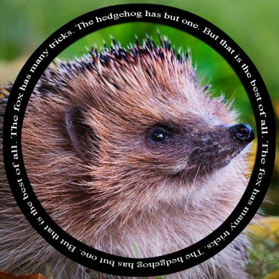 Online record of our garden hedgehogs (they've chosen us as their official feeders ;). 
Aka the 'Daily Devon HogLights of HogWatchers HogsLife'