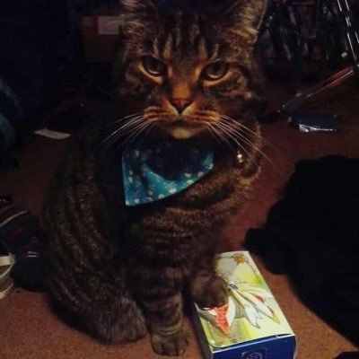 amber_tia's profile picture. 