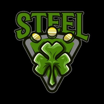 steelshamrocks Profile Picture