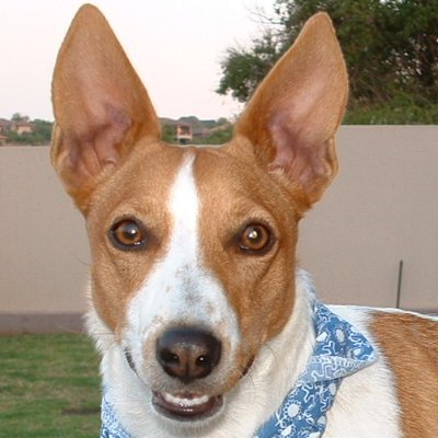 lindagaylefick's profile picture. I'm a recovering perfectionist. And an aspiring 'good-enoughist'. Brené Brown