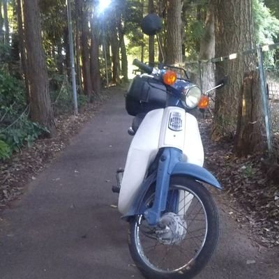 GmdRf5hGiUUCAdF's profile picture. カブとリトルカブ